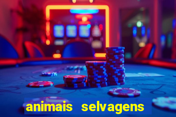 animais selvagens fotos e nomes